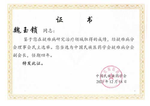 中国民族医药学会疑难病分会领导班子