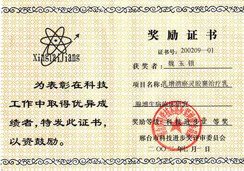 2002年科技进步一等奖