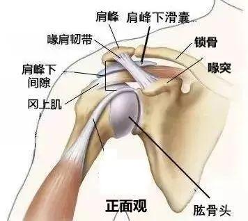 抬手 “咯噔” 响？小心弹响肩！钩活术帮你轻松解 “肩” 